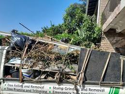 Best Commercial Junk Removal  in Cypress Lake, FL